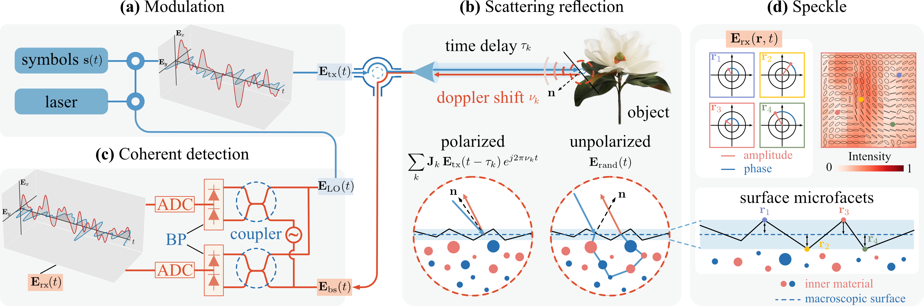 Image formation model: modulation, scattering reflection, coherent detection, and speckle.
