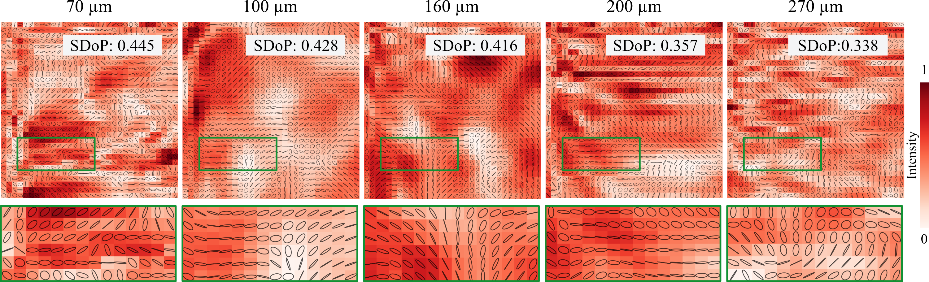 Polarization speckle from sandpaper samples of varying roughness.