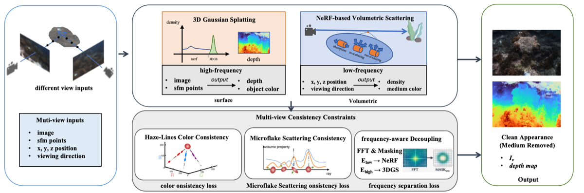 Multi-view Consistency and Frequency-aware Modeling for Scattering Scene Reconstruction