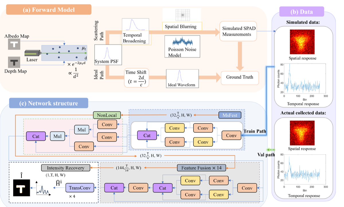 Photon-Statistics-Driven Learning for Underwater Imaging